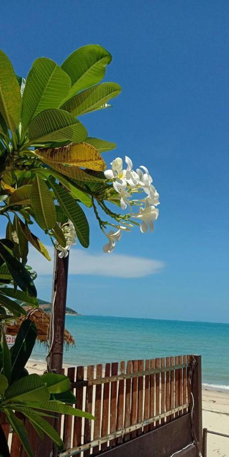 Lipa Bay Resort Lipa Noi Εξωτερικό φωτογραφία